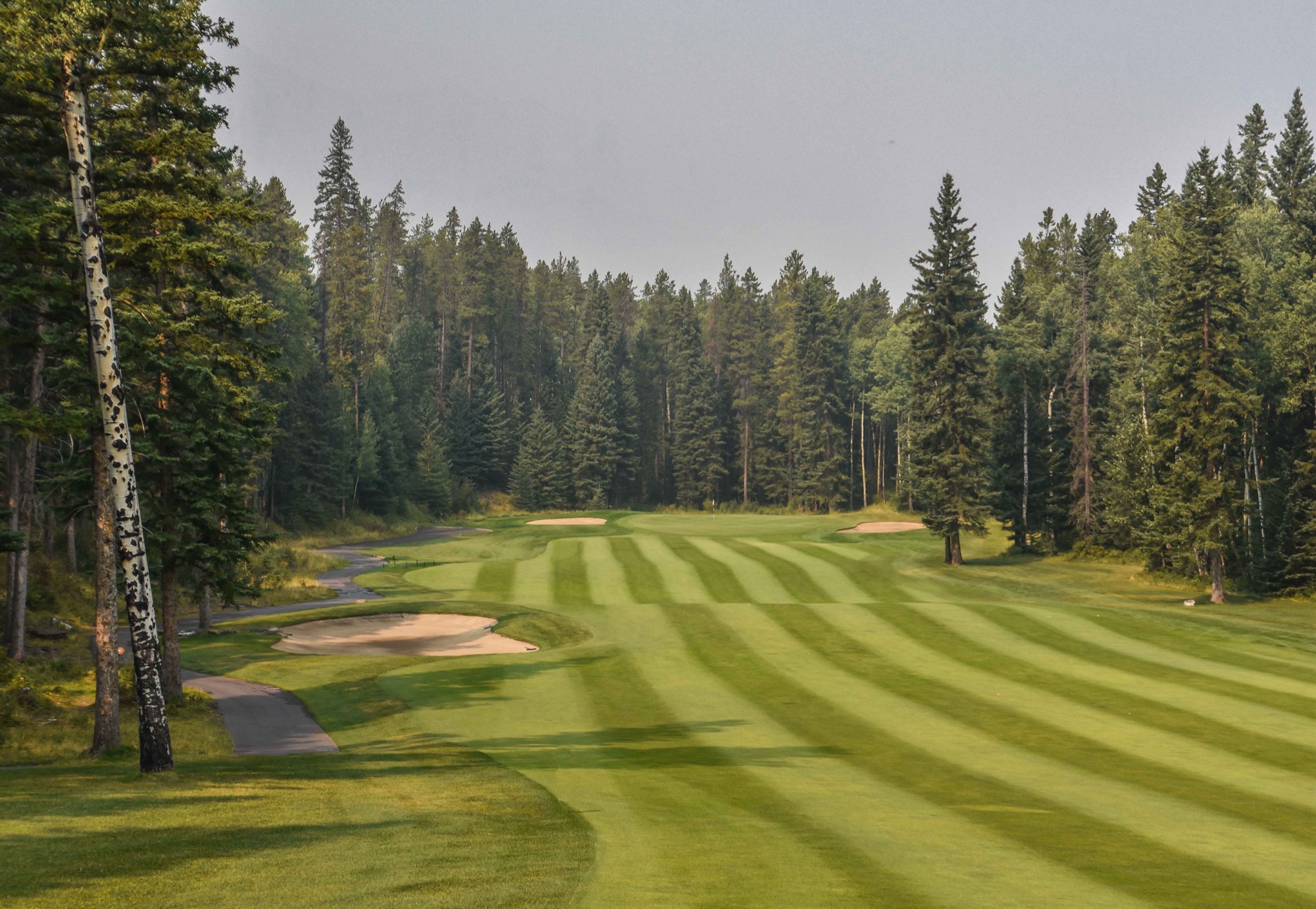 course photo