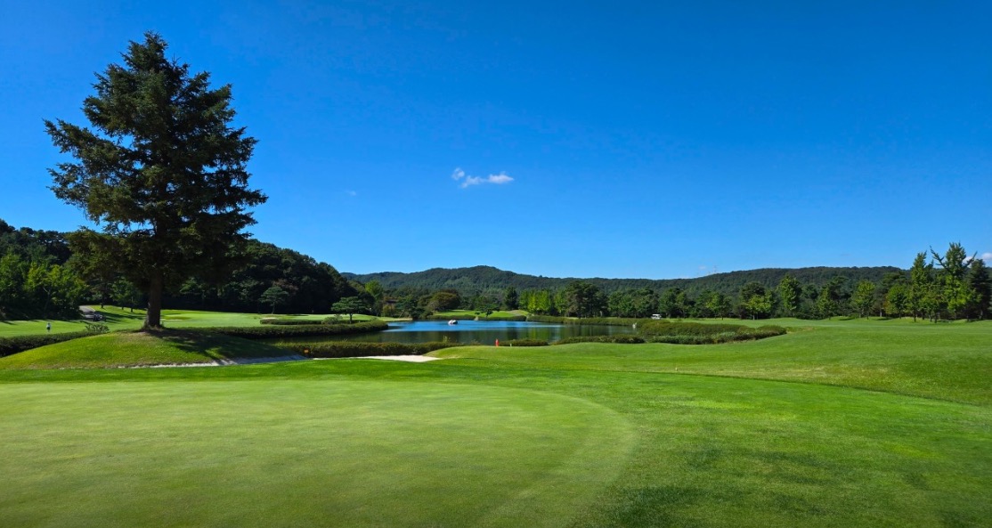 course photo